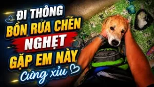 Kỹ thuật viên đi thông bồn rửa chén nghẹt và gặp chú cún đáng yêu trong lúc xử lý sự cố tại Vũng Tàu.